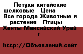 Петухи китайские шелковые › Цена ­ 1 000 - Все города Животные и растения » Птицы   . Ханты-Мансийский,Урай г.